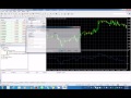 The Trading Predictor Indicator Review