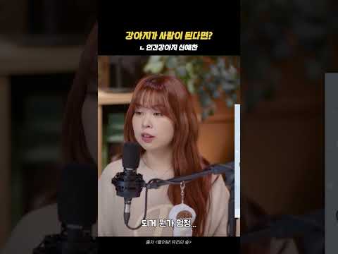 강아지가 사람이 된다면? 인간강아지 신예찬 #dingo
