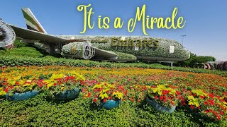 Let's See a Miracle in the Desert | Dubai Miracle Garden