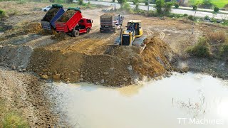 Great Job !! Power Stronger Shantui Bulldozer Push Soil \u0026 Moving Sand Filling Land With Dump Trucks