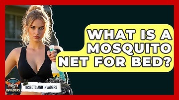 What Is A Mosquito Net For Bed? - Insects and Invaders