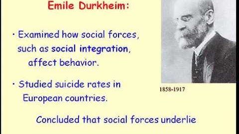 Structural Functional Theory