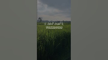 سورة الكوثر | القارئ اسلام صبحي
