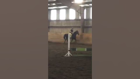 Mom's second riding lesson