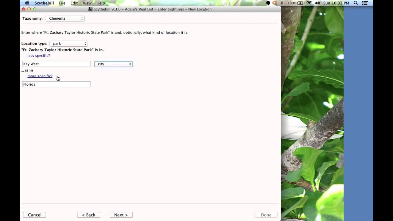 Scythebill: Advanced sighting entry