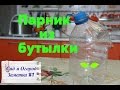 Парник из пластиковой бутылки. Лайфхак от Юли.