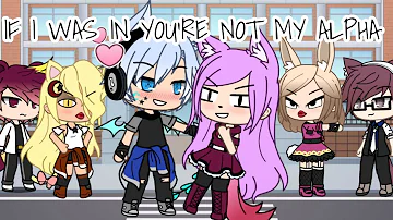 If I Was In You're Not My Alpha But ALL THE BRATS ARE IN LOVE TO HIM Gacha Life Mini Movie Skit