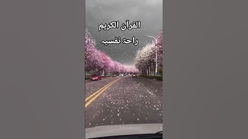 #القرآن_الكريم #ياسر_الدوسري #اكسبلور #المصحف #صوت_جميل #تلاوة_خاشعة