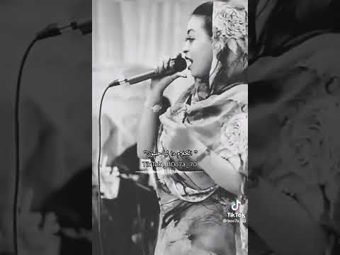 ٢٤ أغسطس ٢٠٢٢ 