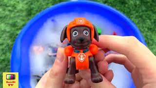 Лесные Животные Для Детей - Учим Животных Для Самых Маленьких Bonbi Tv