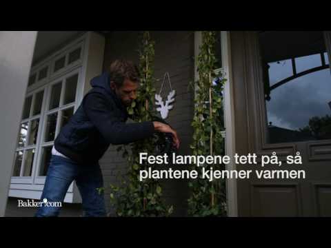 Video: De 7 Beste Romvarmerne: Varm Opp Gravene Dine Med Stil