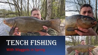 Tench Fishing at Lymmvale