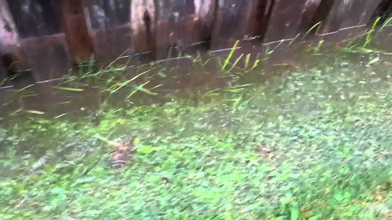 Neighbour directing all of his water from his property onto my property