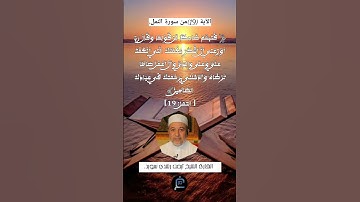 الآية (19)من سورة النمل... القارئ الشيخ أيمن رشدي سويد.
