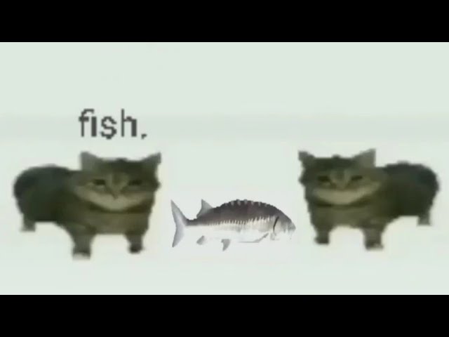 this is a... fish