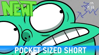 Bus Boy | Pocket Sized NEWT