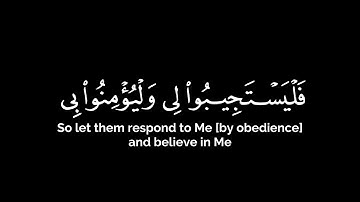 وإذا سألك عبادي عني | تلاوة الشيخ بدر المشاري كرومات قرآن شاشة سوداء كروما ايات قرانية سورة البقرة