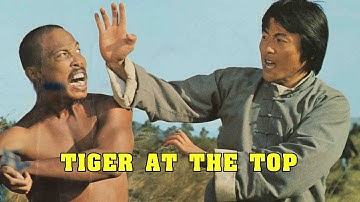 Wu Tang Collection - Tiger at Top