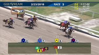 Gulfstream Park Race 3 | February 23, 2018