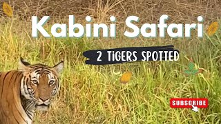 Kabini bus safari | Kabini forest | Nagerhole Tiger reserve