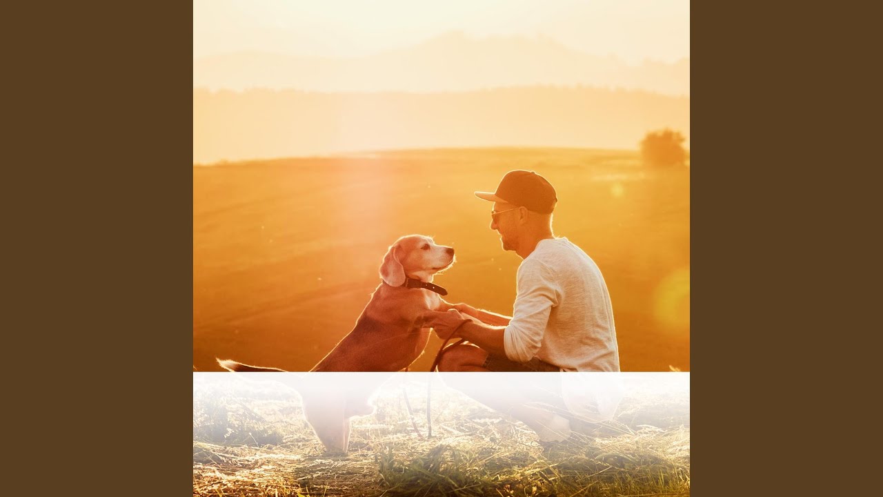 Mindful Landscapes at Dusk