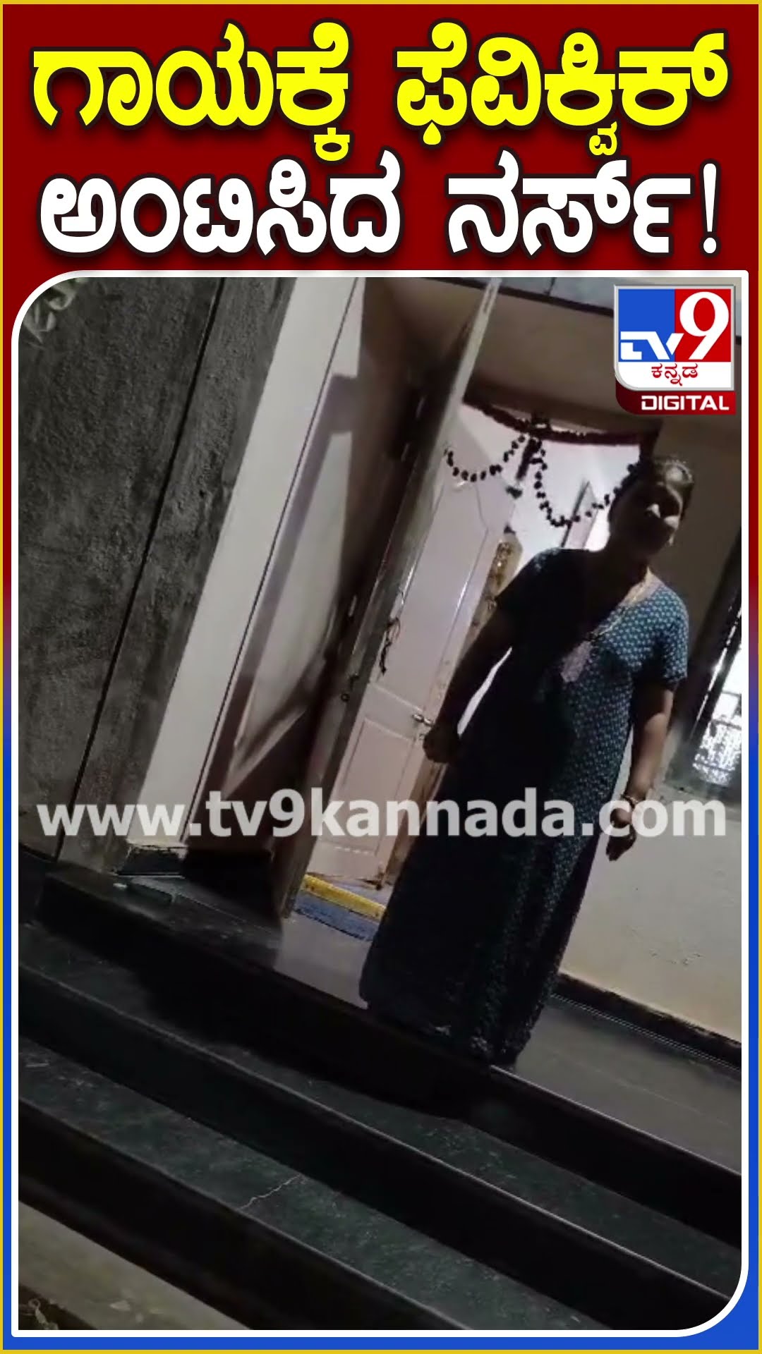 ಬಾಲಕನ ಗಾಯಕ್ಕೆ ಸ್ಟಿಚ್‌ ಹಾಕುವ ಬದಲು ಫೆವಿಕ್ವಿಕ್ ಅಂಟಿಸಿದ ನರ್ಸ್‌ #NurseFevikwikTreatment | #TV9D