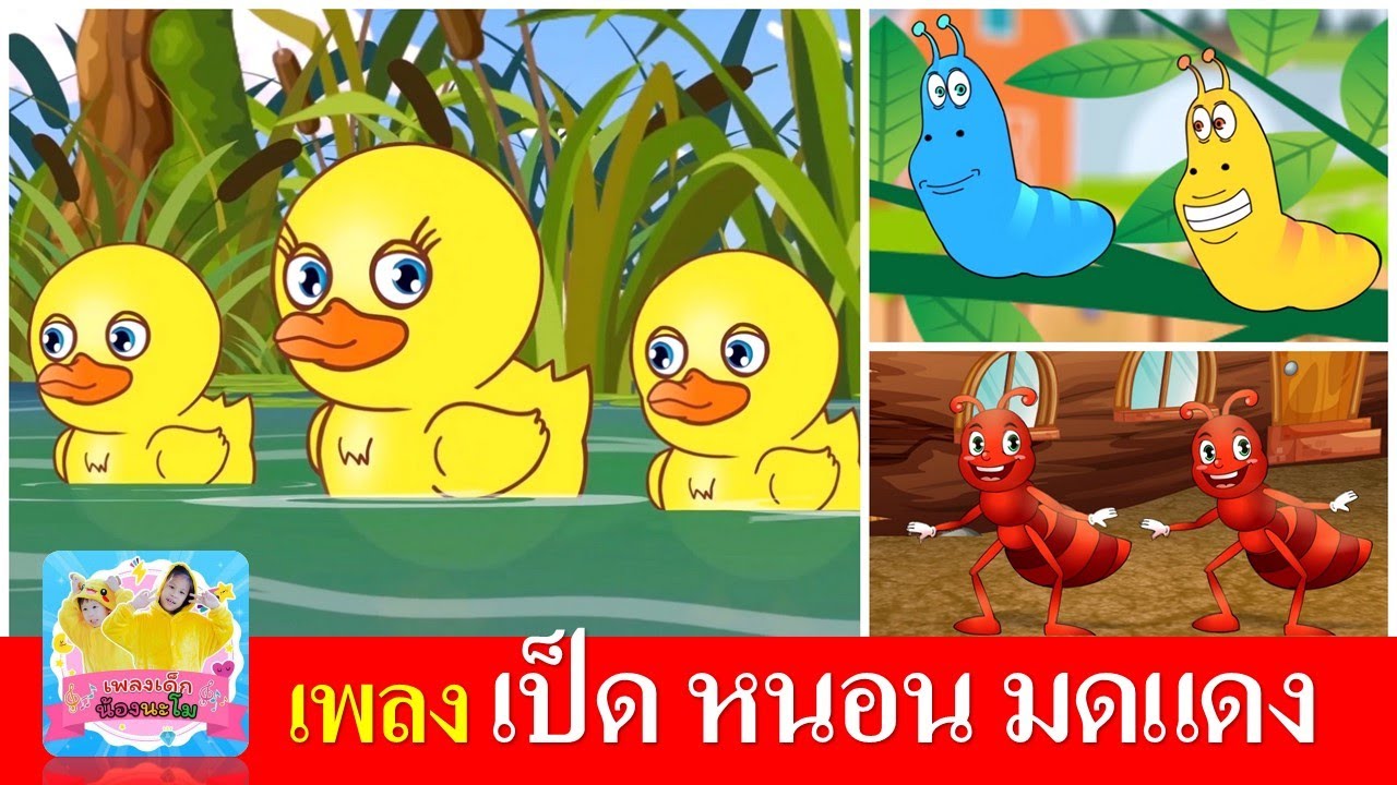 เพลงเด็กอนุบาล เป็ด หนอน มดแดง | เป็ดอาบน้ำในคลอง | หนอนผีเสื้อ | มดแดงเกาะแข้งเกาะขา