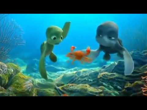 PROCURANDO NEMO  FILME DE DESENHO ANIMADO DA TARTARUGA 2020