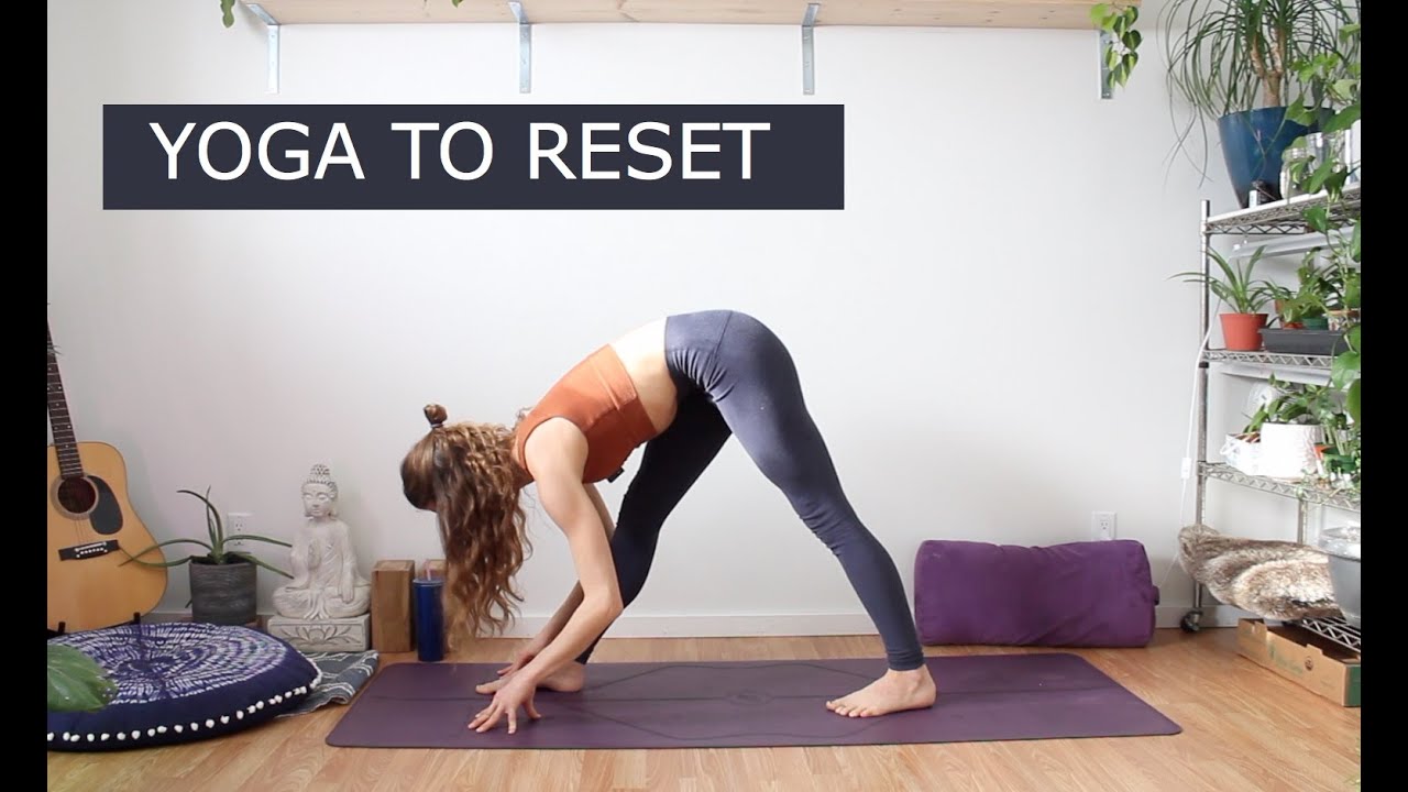 YOGA TO RESET | 20 MINUTE YOGA FLOW | - YouTube