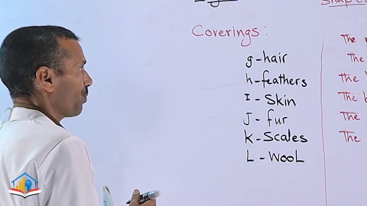 الانجليزي-Shapes,covering and materials _1- المنهج اليمني لطلاب الصف الثالث الثانوي منصة يمن اكاديمي