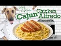 Cooking With Cactus Jack Ep 1 – Cajun Chicken Alfredo - A Dog & Kitchen Comedy | Jas Patrick Recipes