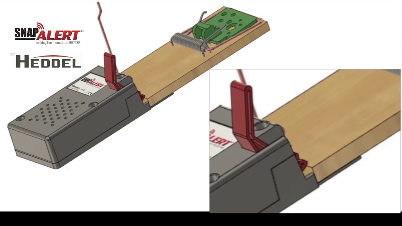 Snap Alert Animation