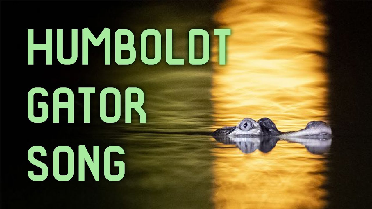 Humboldt Gator Song - YouTube