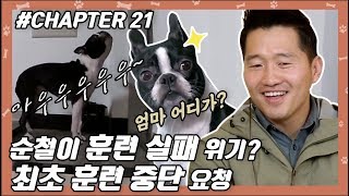 CHAPTER 21 | '순철이' 훈련 실패위기? 최초 훈련 중단 요청 !! #강형욱 #개통령 #개훈련사 [개는 훌륭하다] ㅣ KBS방송