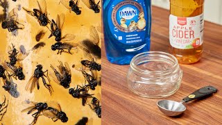 Kill flies. bugs, roaches, beetles instantly with this homemade recipe