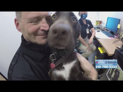 Video: K9s for Warriors hjælper med at redde veteraner og shelter hunde