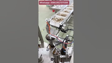 High Speed Automatic Doypack Rotary Premade Bag Filling Sealing  Packing Machine
