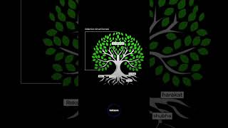 Odamlar Nimani Koʻradi