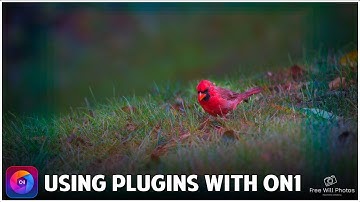 Get The Most Out Of Your Photoshop Plugins With On1 Photo Raw 2023.5