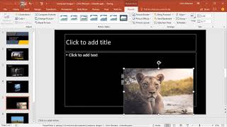 PowerPoint  how to get your images the correct size before inserting them into PPT by Chris Menard