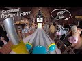 Gardaland 2019 Doremi Farm 360° VR Onride