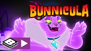 Bunnicula Spookkatten Boomerang