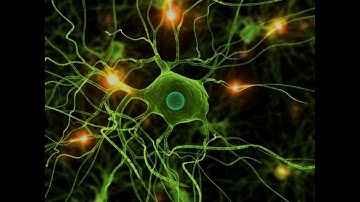 Nhạc NLP coach Vas chọn lọc   Bí quyết Tĩnh Tâm  Nhớ nhanh