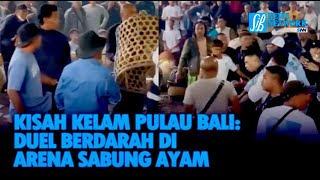 KISAH KELAM PULAU BALI: DUEL BERDARAH DI ARENA SABUNG AYAM