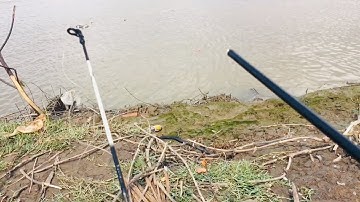 Câu cá sông kênh hàn, chỉ vì con này gãy luôn cây cần