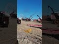 The Great Dorset Steam Fair 2022 - 5