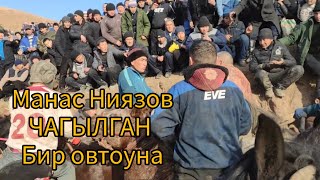 картинка: Манас Ниязов ЧАГЫЛГАН ат менен Бир автоунага таштады