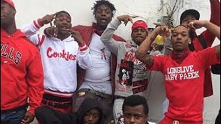 Rolling 20 Outlaw Bloods VS 43 Gangsta Crips & Eastside Trece