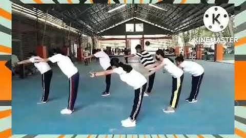 PATH-FIT STRETCHING VIDEO.