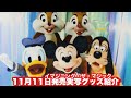 【TDR】11月11日発売の実写グッズ紹介/写真家・蜷川実花さんと二度目のコラボが実現「イマジニング・ザ・マジック」